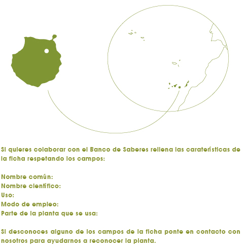 banco-saberes-colabora